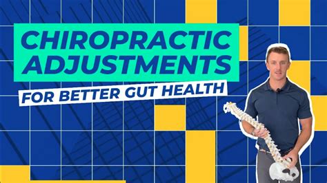 Chiropractic Adjustments For Better Gut Health In Boulder CO Terry