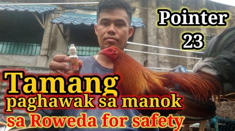 Tamang Pag Hawak Sa Manok Para Hindi Kayo Masugatan Sa Tari Youtube