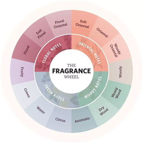 Perfumes Your Guide To All Types Of Perfumes Fabbon