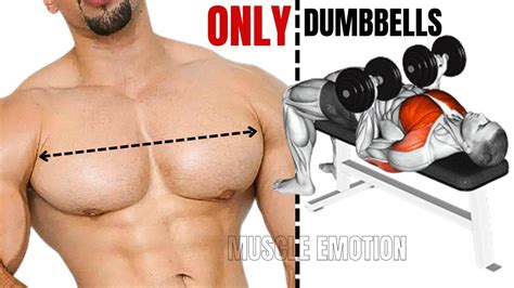 5 Best Chest Exercises You Will Ever See In Your Gym Only Here You Have To See This Youtube