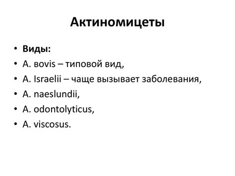 Актиномицеты сем. Actinomycetaceae - презентация онлайн