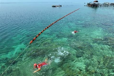 Dua Tahun Pemulihan Ekosistem Terumbu Karang Derawan Berlangsung Apa