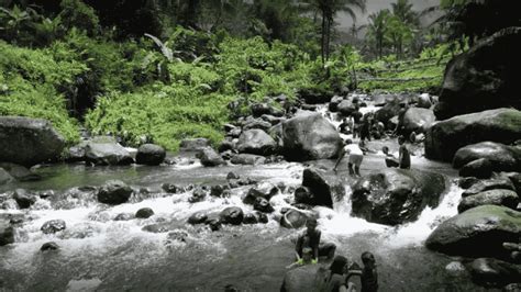 Wisata Cireong Park Ciamis Makan Liwet Di Tepi Sungai Sakata Id