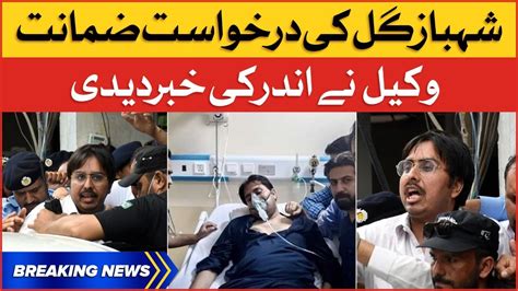 Shahbaz Gill Case Updates Lawyer Shocking Revelations Breaking News