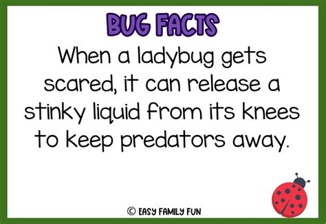 100 Epic Bug Facts for Kids