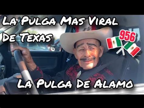 La Pulga De Alamo Tx La Pulga Mas Viral De Texas Youtube