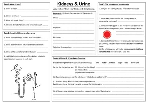 Sb7hi Osmoregulation A3 Sheet Edexcel Single Biology Gcse