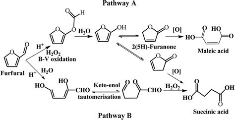 Possible Reaction Pathways For The Oxidation Of Furfural Bv Refers To