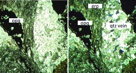 3 Photomicrographs Of Sample A1 Showing Quartz Qtz Veins Graphitic Download Scientific