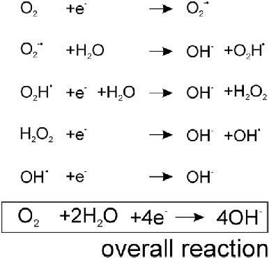 Scheme Proposed Reaction Schemes Underlying The Reduction Of