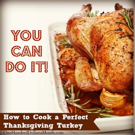 How To Cook A Perfect Thanksgiving Turkey One Hundred Dollars A Month