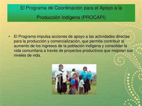 Ppt Comision Nacional Para El Desarrollo De Los Pueblos Indigenas Powerpoint Presentation Id