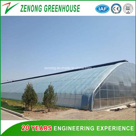 Modern Multi Span High Tunnel Plastic Film Glass Polycarbonate