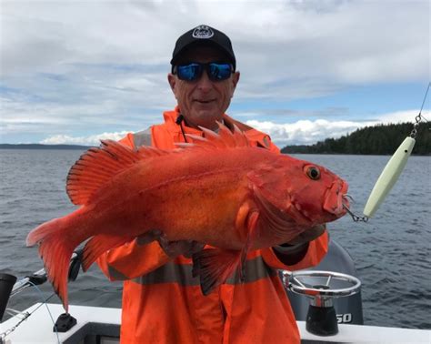 Pacific Rock Cod Canadian Sportfishing