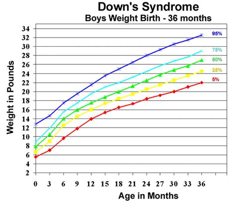 Down Syndrome Development Chart Labb By Ag