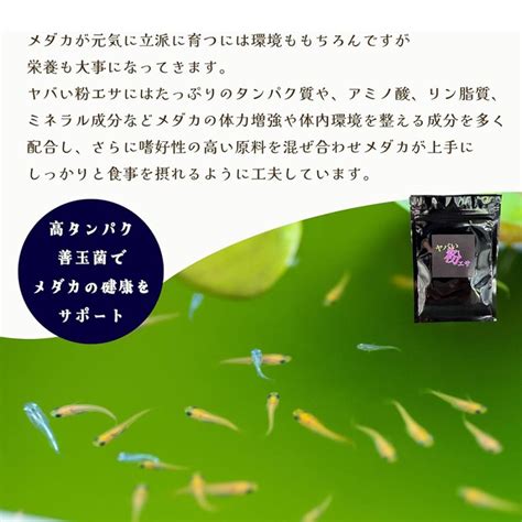 めだか 餌 粉末 ヤバい粉エサ 20g 高品質 超微細粒子 メダカ エサ 粉 パウダー 針子 稚魚 粉餌 高タンパク 食いつき改善 華めだか