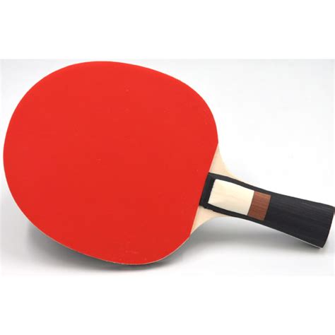 Sunflex Atomic C Control Hobby Pimple Pips Out Table Tennis Bat