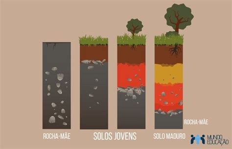 Explique o processo de formação do solo brainly br