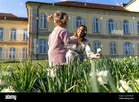 Europe Allemagne Bade Wurtemberg Stuttgart Château De Hohenheim