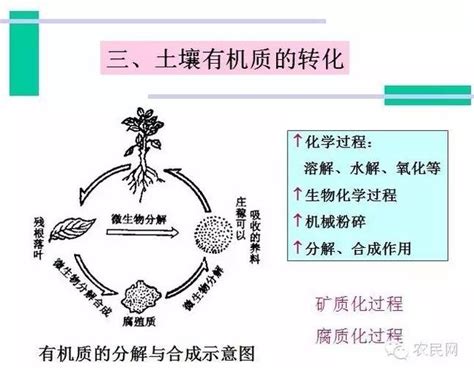 有機質 土壤的寶庫 每日頭條