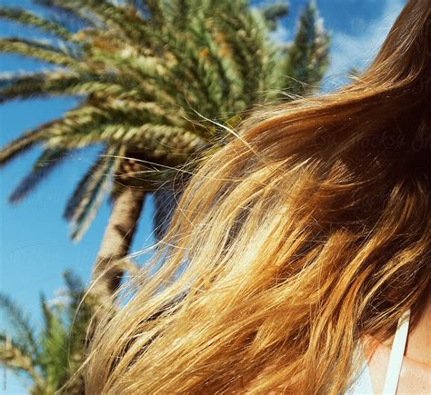 Blond Hair In The Wind And Palm Tree Closeup Del Colaborador De Stocksy Sonja Lekovic Stocksy