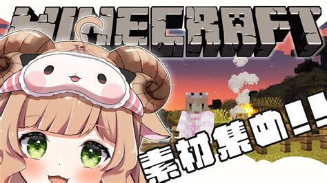 【minecraft】ゲリラ配信！素材集めながらまったり雑談【星宮めぇぷる 新人vtuber】 マイクラ（minecraft）動画まとめ