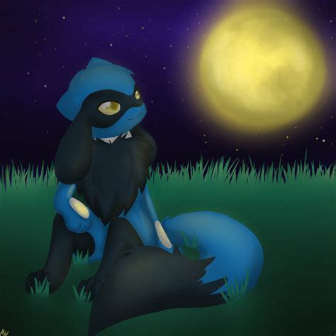 Reiki Riolu Eevee Crossbreed By Tioma The Eevee Girl On Deviantart