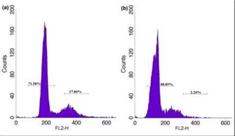 Cell Cycle Distribution Of A375 Cells In A Exponential And B Quiscent