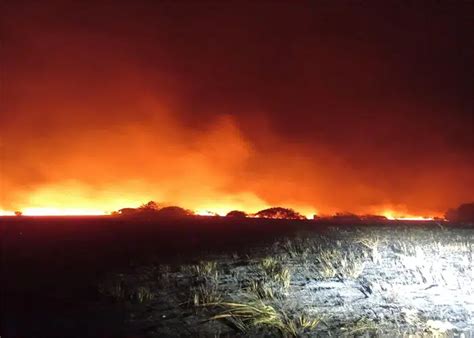 Incêndio devastou mais de mil hectares no distrito de Matutuine MMO