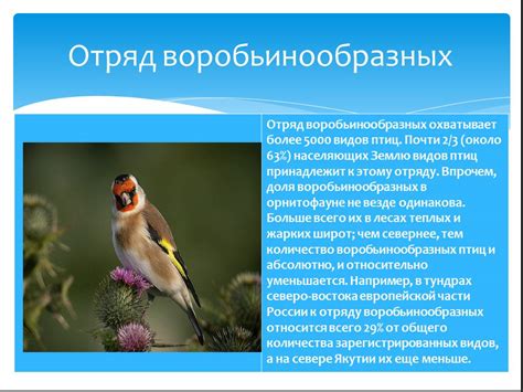 Презентация по биологии 7 класс