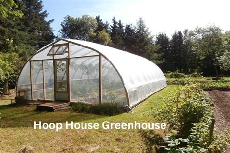 Is a Hoop House Greenhouse as Good as a Greenhouse? – Outdoor Storage Options