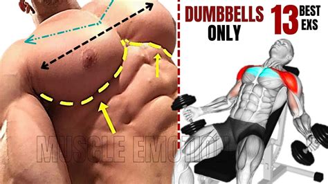 13 Best Chest Workout With Dumbbells Only At Home Or At Gym Youtube