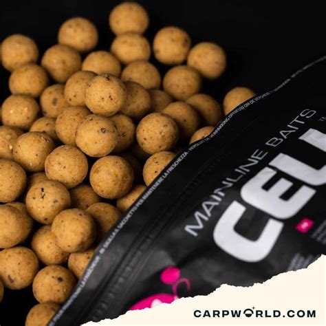 Mainline Shelf Life Boilies Essential Cell 1Kg Carpworld