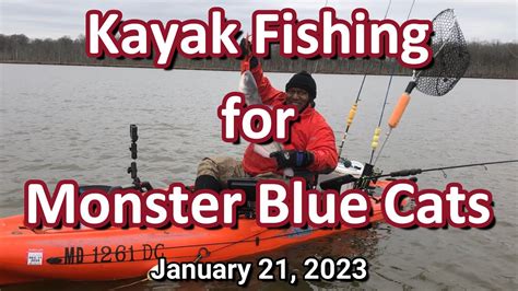 Kayak Catfishing For Monster Blue Cats 1212023 Youtube