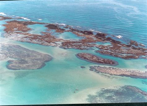 aMAZONIA aZUL e Piscinas Naturais SÃO JOSÉ DA COROA GRANDE