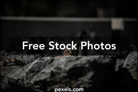 Focus On The Best Wallpape Photos Download The Best Free Focus On The
