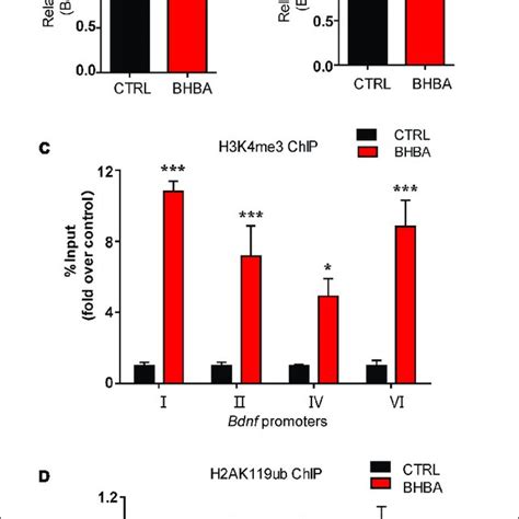 BHBA Treatment Increased BDNF Expression And Changed The Occupancy Of