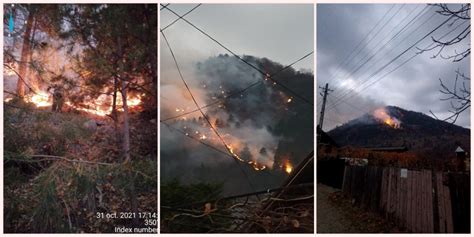 Foto Incendiu La Oituz A Luat Foc P Durea N Zona Piatra Oimului