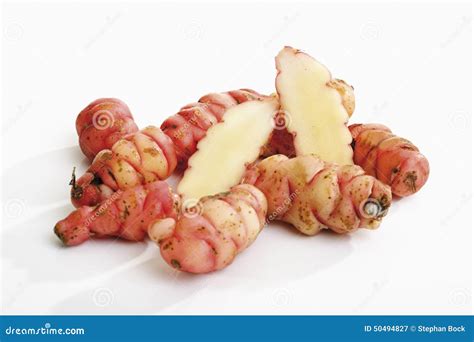 Oca tubers stock image. Image of firm, pink, crop, nourishing - 50494827