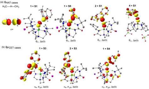 Dichotomous Hydrogen Atom Transfer Vs Proton Coupled Electron Transfer