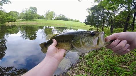 Using Rubber Worms To Catch Big Large Mouth Bass Youtube