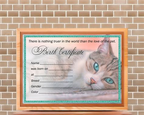 Cat Birth Certificate Free Printable