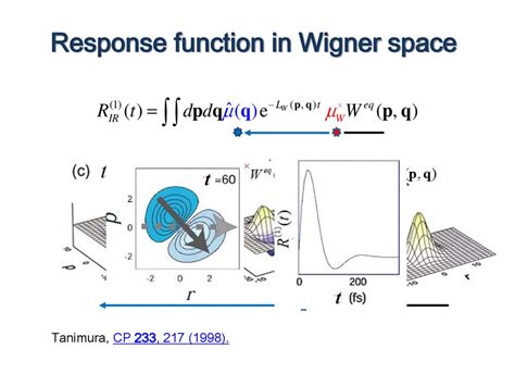 Reduced Hierarchy Equations Of Motion Approach To A Quantum Dissipative System Theory