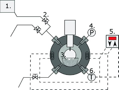 A Schematic Cross Sectional Depiction Of The View Cell Used In The