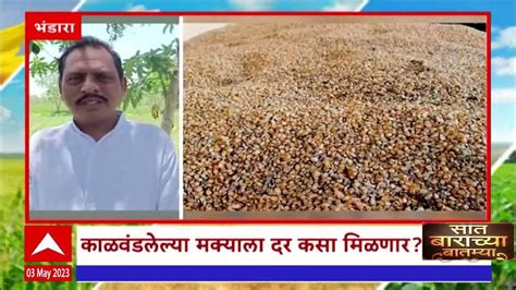 Bhandara Corn Loss हवामान बदलामुळे पिकाला फटका ऐन उन्हाळ्यात मक्याला बुरशी Youtube