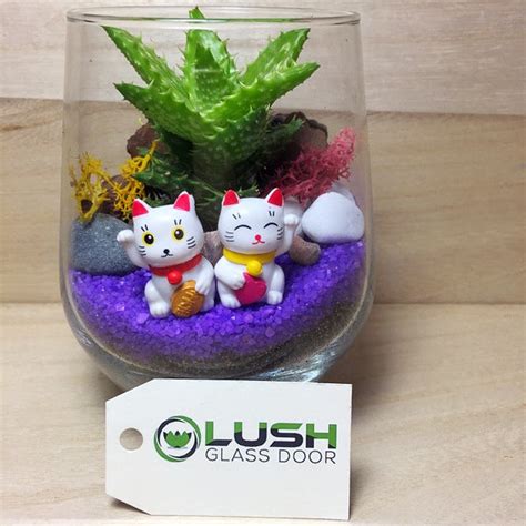 Ready Made Cute Succulent Terrariums Created By Lush Glass Door Singapores Terrarium One Stop