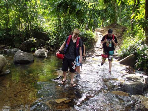 Senderismo Por Las Cascadas De Uduwara Y Nagadowa Getyourguide