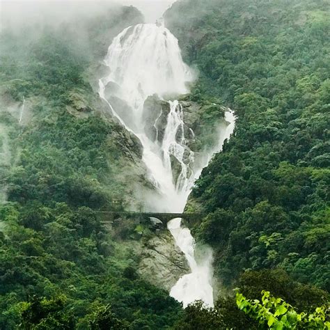 Dudhsagar Waterfall Tour - Sea Adventure Trips