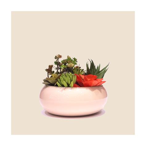 Arranjo De Suculentas Vaso Lagoon Nude Pp Brasfama