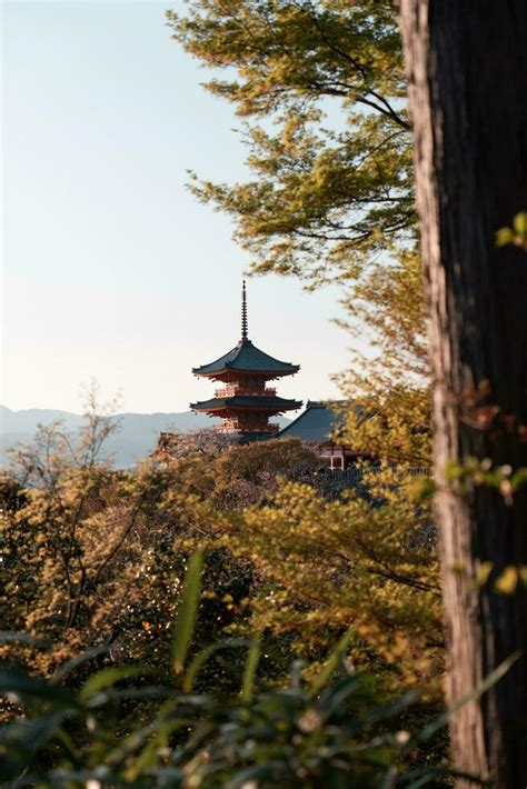 Kiyomizu dera temple 24658518 Stock Photo at Vecteezy